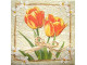 Serwetki Decoupage - Tulipany